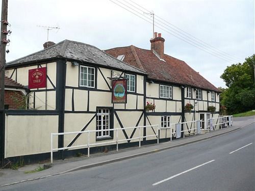 The Cherry Tree Hotel